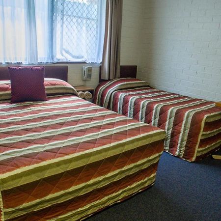 Arabella Motor Inn Tweed Heads Rum bild